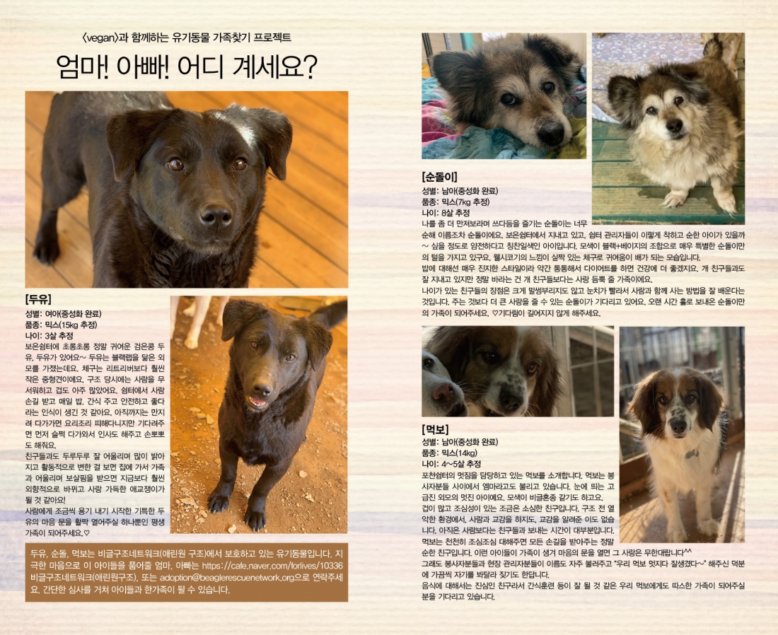 비건 레시피