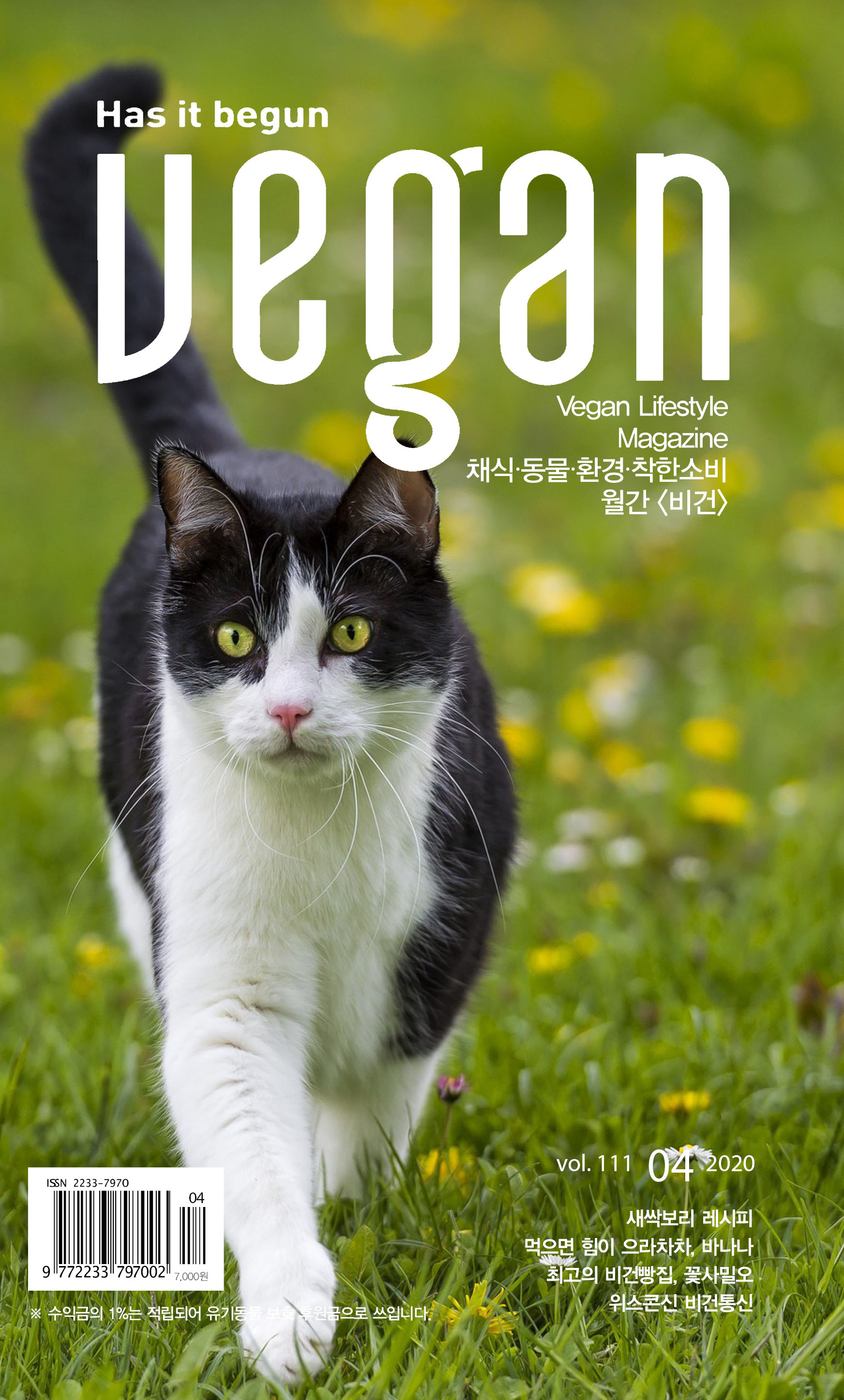 비건 레시피