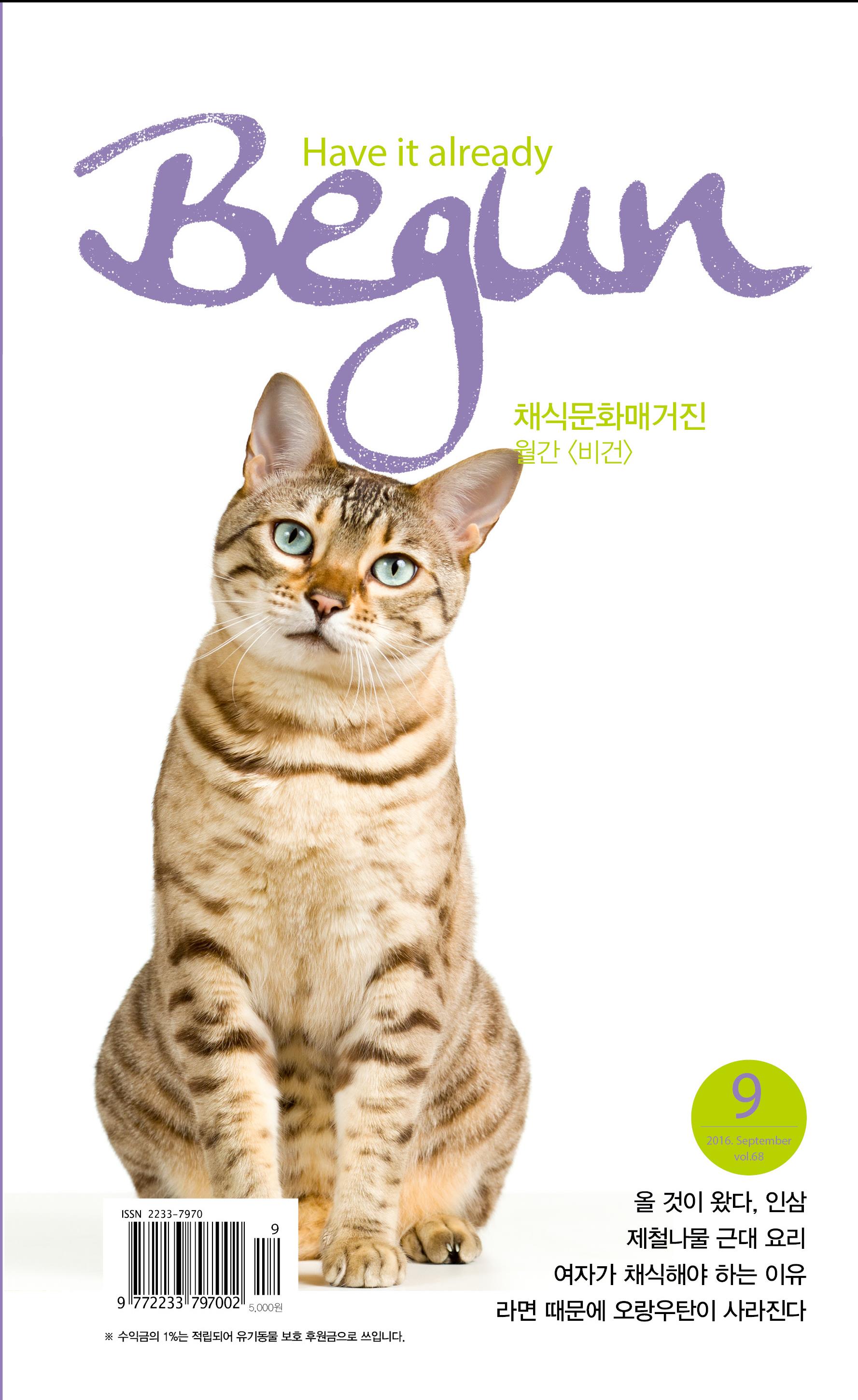 비건 레시피
